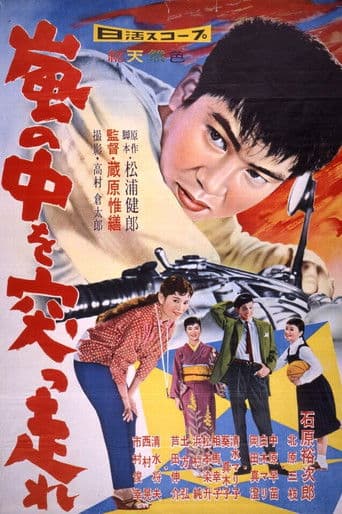 嵐の中を突っ走れ